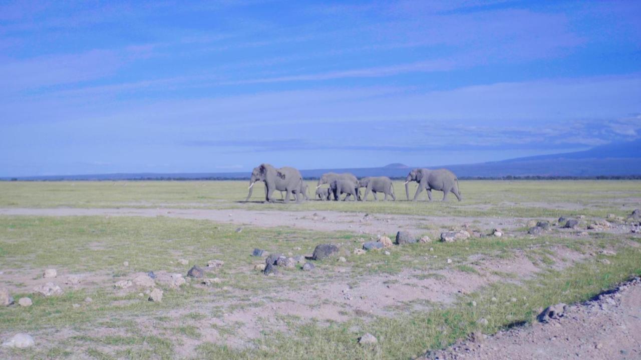 Amboseli Gateway Hotel Kimana エクステリア 写真