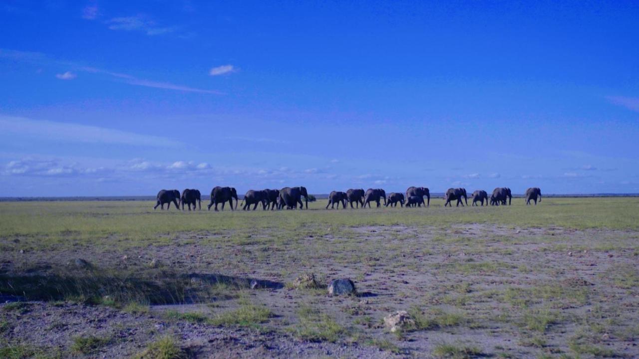 Amboseli Gateway Hotel Kimana エクステリア 写真